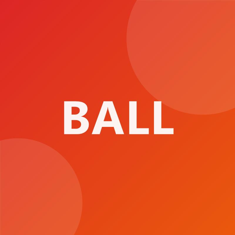 Bola Futsal Pro