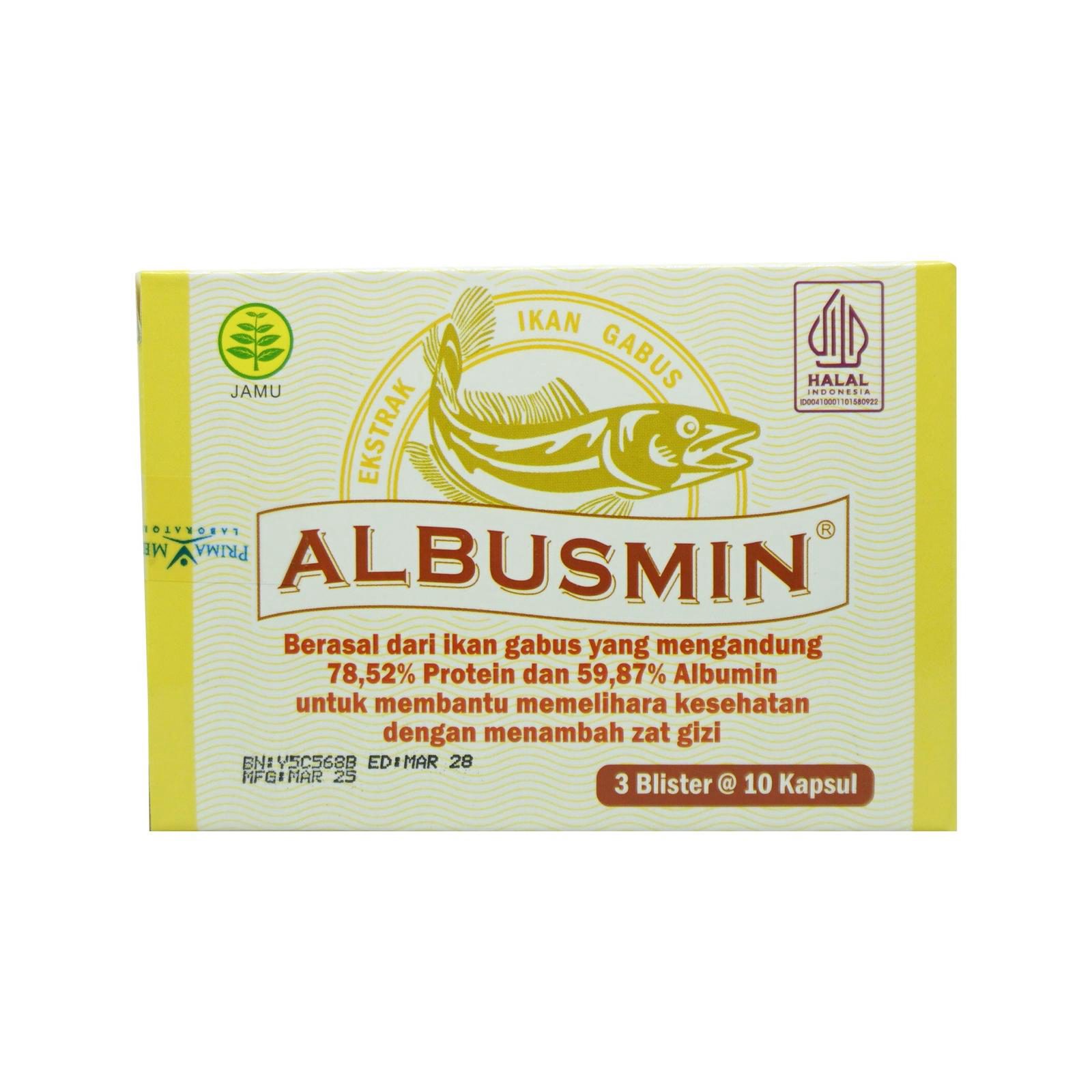 ALBUSMIN KAPSUL 30 KAPSUL